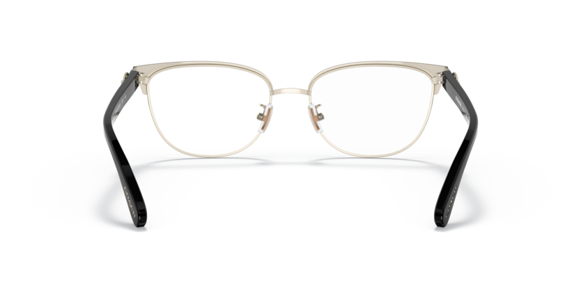 Black/shiny Light Gold